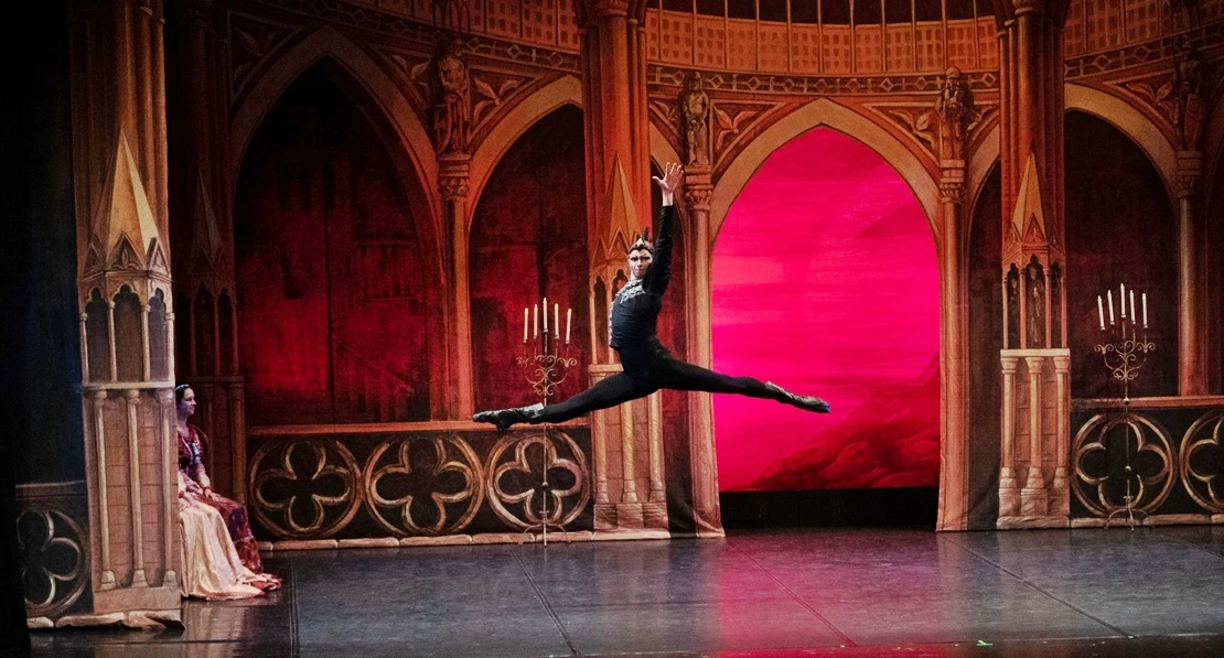 El Lago de los Cisnes regresa al López de Ayala