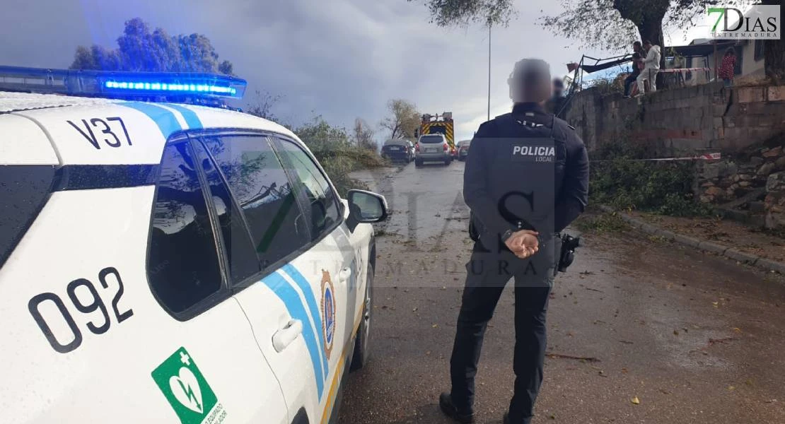 Dos enormes ramas de árboles caen sobre una furgoneta en Las 800 y causan destrozos