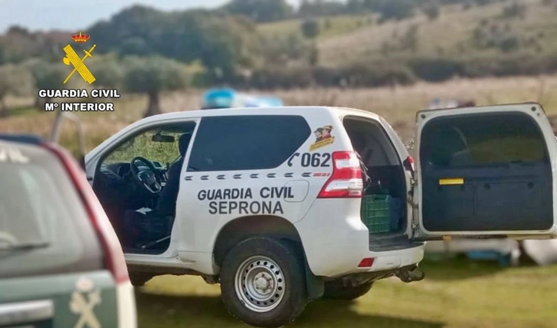 Investigados por el uso fraudulento de la Denominación de Orígen  “Pimentón de La Vera”