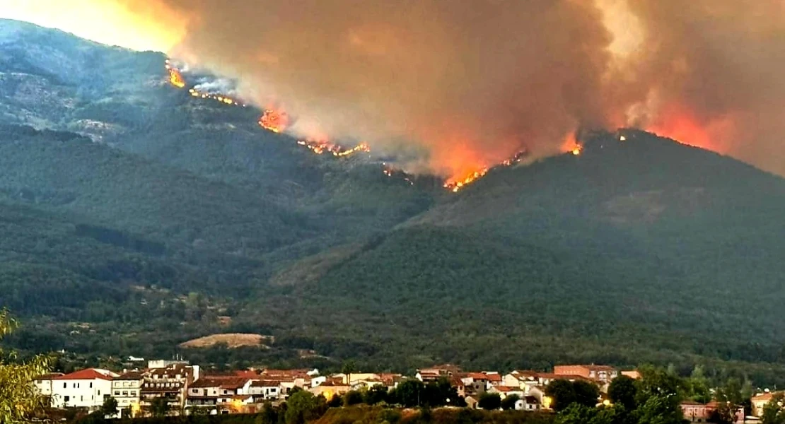 Empresas del Jerte y Las Hurdes entre las beneficiarias de las ayudas por los incendios