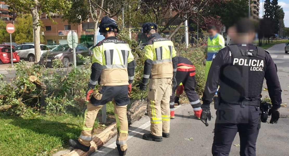 Cae otro árbol de gran tamaño frente al Carrefour de Valdepasillas por el fuerte viento