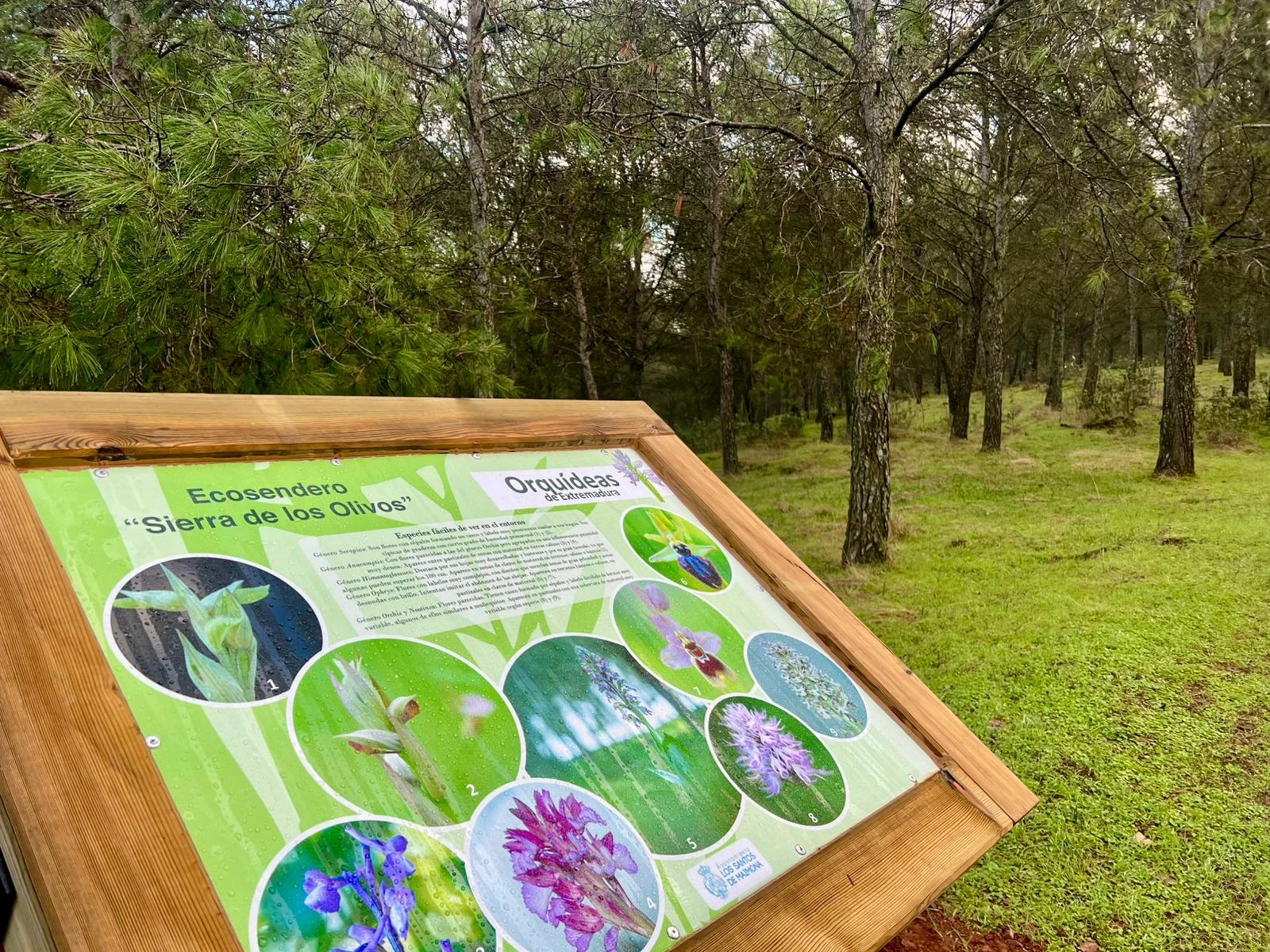 Así es la nueva ruta que puedes recorrer en la provincia de Badajoz