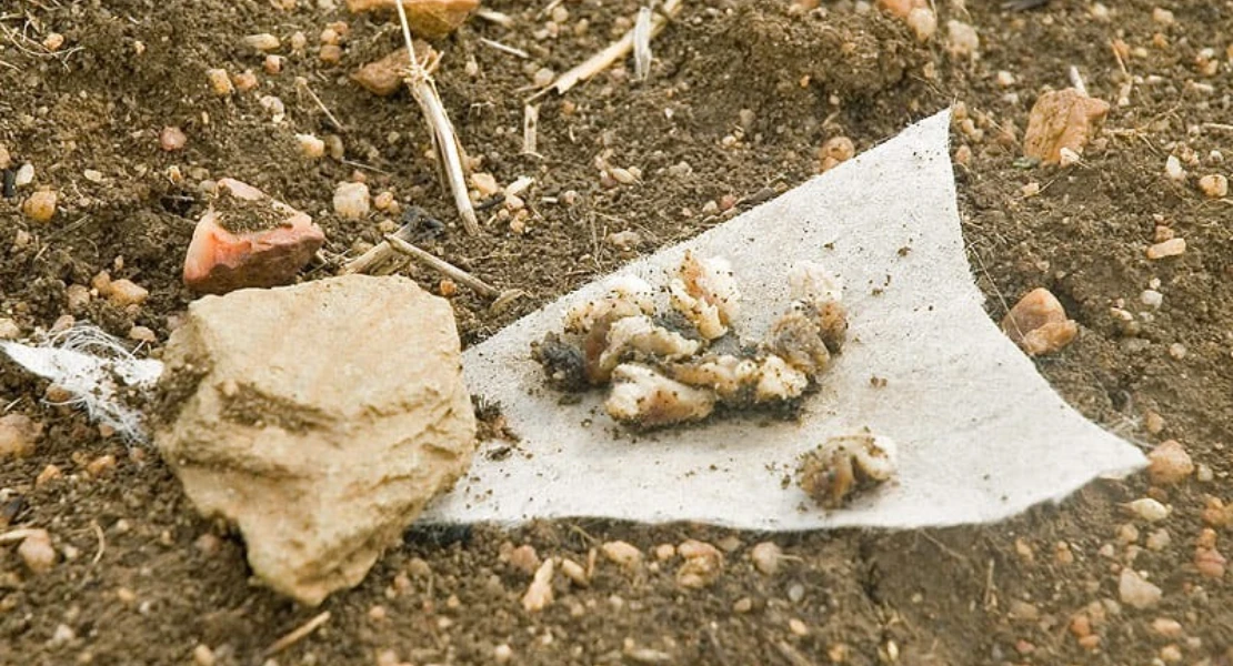 Cebos envenenados en Extremadura: "Esperemos no tener que lamentar ninguna muerte humana"