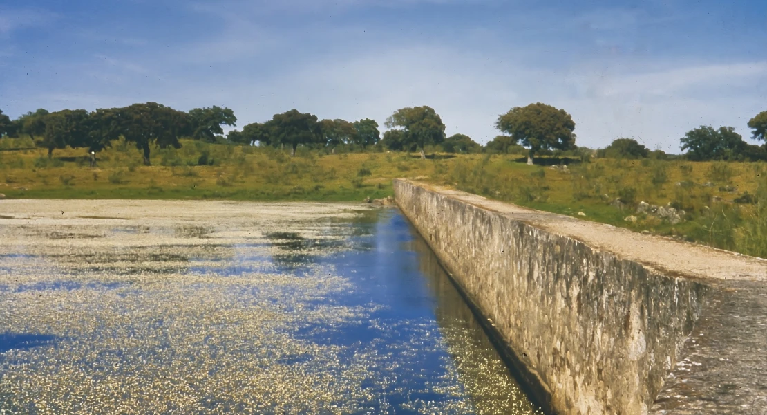 La CHG obligada a entregar información sobre las obras en Cornalvo tras meses de silencio