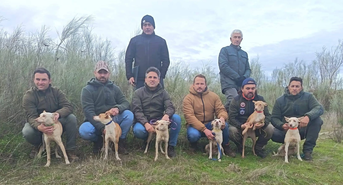 Pantera, Rubia y Miriam lideran el Campeonato de Extremadura de Podencos en Hornachos