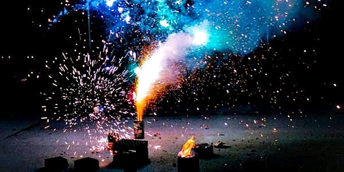 Un fin de año sin sustos: cómo ayudar a los animales