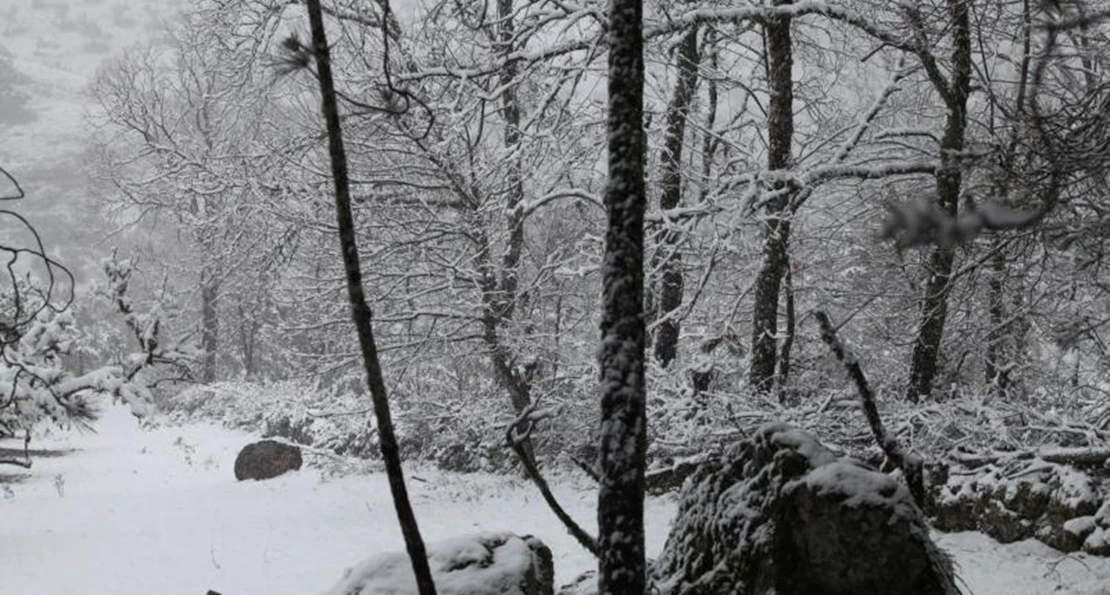 El día de Navidad viene acompañado de frío polar y nieve