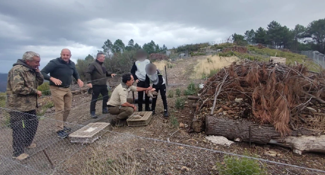Un nuevo núcleo de cría de conejo ayudará a recuperar las poblaciones en la comarca de las Hurdes