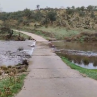 Vecinos de una finca cacereña exigen la recuperación del camino ante el riesgo de aislamiento