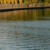 Extremadura asegura el abastecimiento: embalses por encima de la media nacional