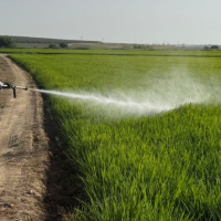 Diputación de Badajoz refuerza la lucha contra los mosquitos en Vegas Altas