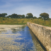 La CHG obligada a entregar información sobre las obras en Cornalvo tras meses de silencio