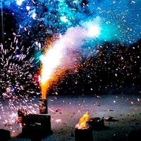 Un fin de año sin sustos: cómo ayudar a los animales