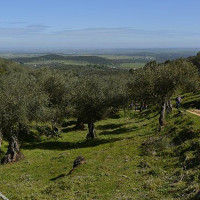 Mejorarán 60 senderos en la provincia de Badajoz