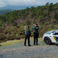 Denunciados por usar cohetes para desplazar animales salvajes entre fincas