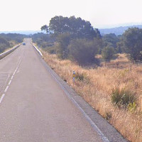 Un fallecido y un herido en un choque contra un animal en la EX-102