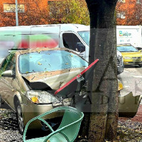Se empotra contra un árbol en una rotonda de Valdepasillas
