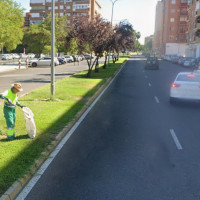 La tala de árboles genera problemas en Badajoz: los vecinos cuentan qué está ocurriendo
