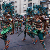 Baja el número de murgas y comparsas con respecto a la inscripción para el Carnaval 2026