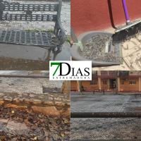 Vecinos desesperados en Badajoz por la plaga de gorriones y la falta de poda