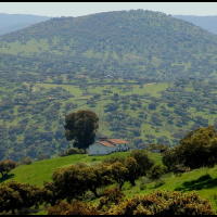 Aprobado el primer Plan Forestal de Extremadura: 364 M€ para blindar los montes