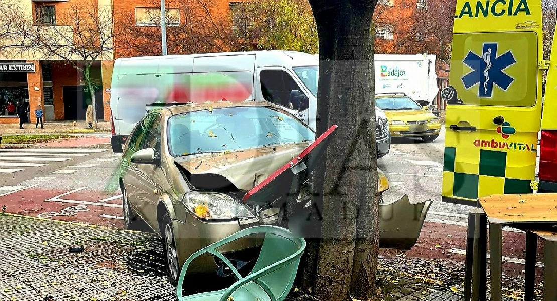 Se empotra contra un árbol en una rotonda de Valdepasillas