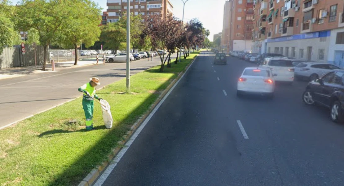 La tala de árboles genera problemas en Badajoz: los vecinos cuenta qué está ocurriendo