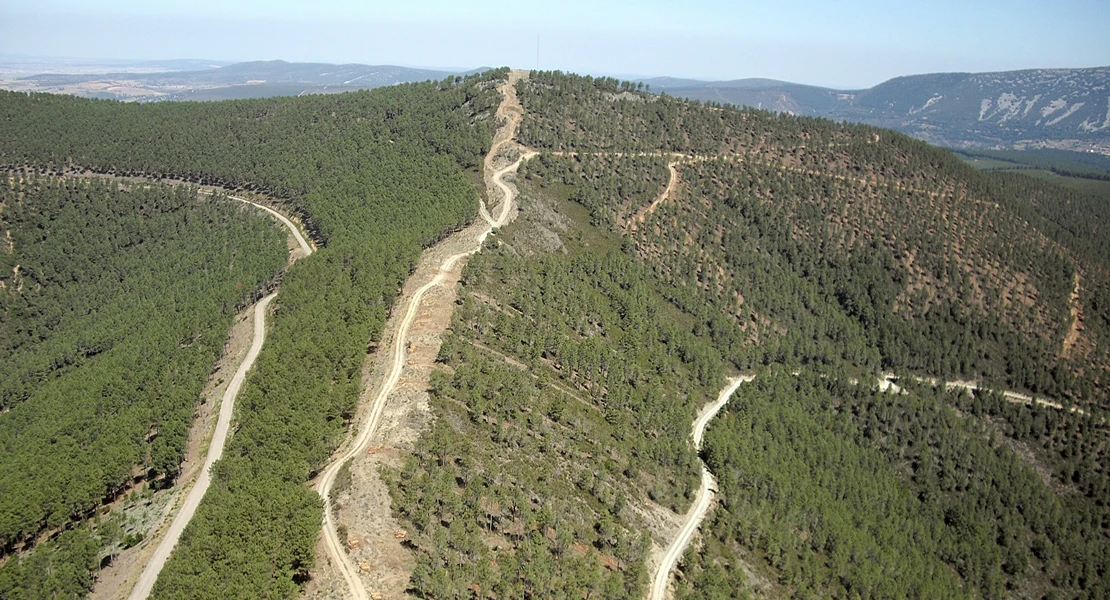 OPINIÓN | Los bulos de Iberdrola: una reforestación fantasma