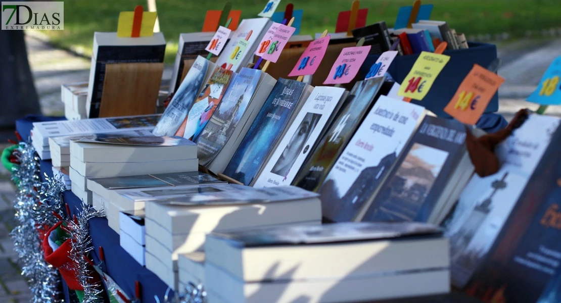 Suberocio vuelve a San Vicente de Alcántara con una gran novedad y más de 10 hinchables