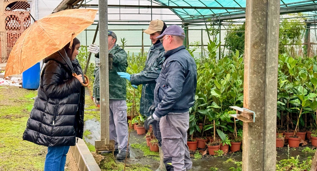 Comienza el reparto de arbolado para hacer más bonita la provincia de Cáceres