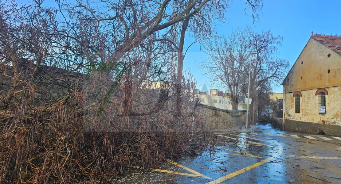 Imágenes que ha dejado el paso del tornado por Plasencia