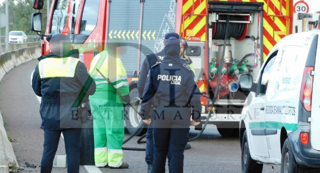 Herido tras accidentarse y volcar su vehículo a la salida de Badajoz