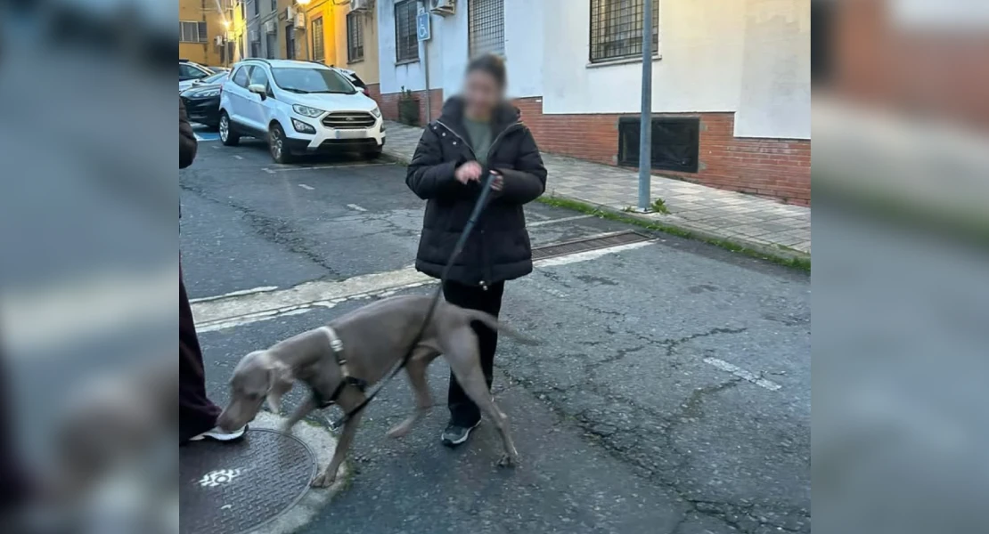 Localizan en Plasencia el coche robado con el perro Goyo en su interior
