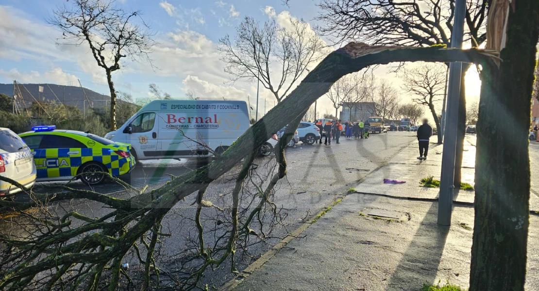 Imágenes que ha dejado el paso del tornado por Plasencia