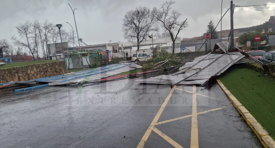Árboles y techos caídos: un fuerte viento sacude Plasencia en cuestión de minutos