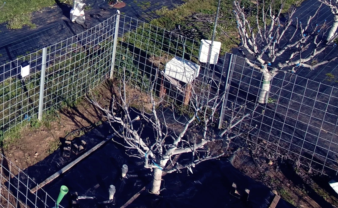 Extremadura presenta en Australia investigaciones sobre el riego