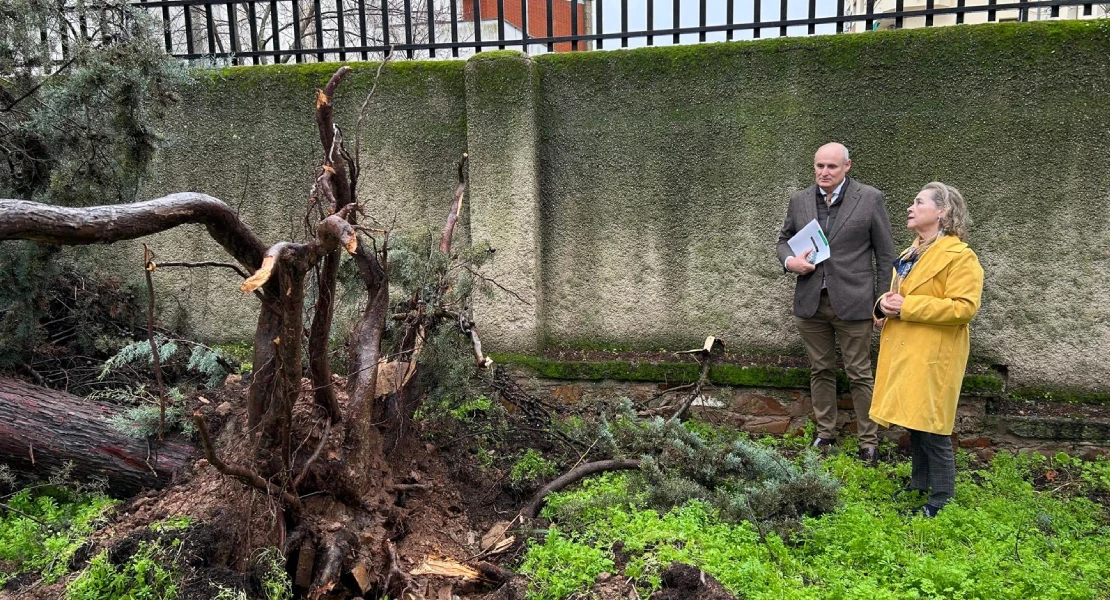 Numerosas incidencias en centros educativos de Extremadura por la borrasca