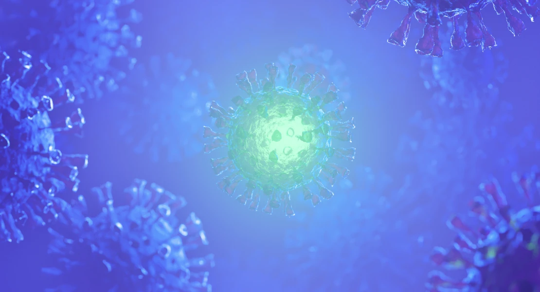 Qué es el virus Nipah y la supuesta “nueva pandemia” que podría llegar