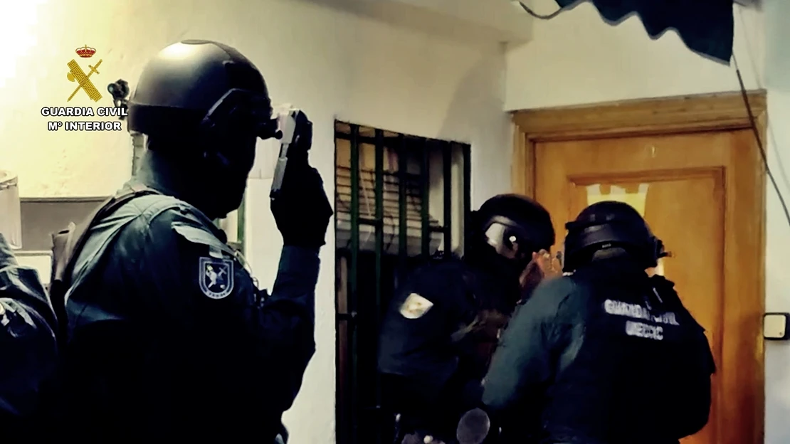 Campaña nacional para luchar contra irregularidades en el sector ganadero