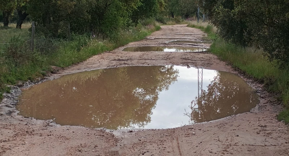 (PREGUNTAR AYTO.) Denuncian el abandono del camino al Manantío 2: "No tenemos ni servicio basura a pesar de pagarlo"