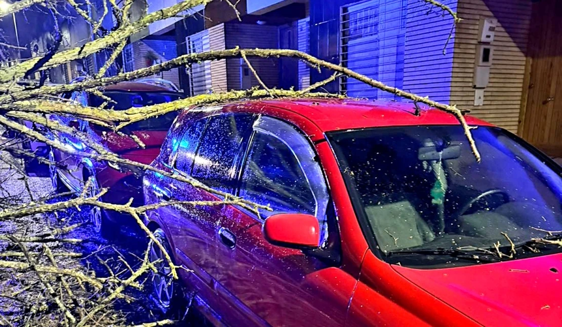 Multitud de salidas esta madrugada en Badajoz tras el paso de la borrasca