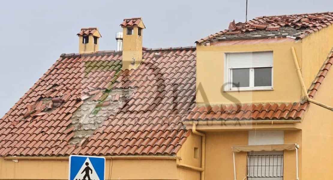Árboles y techos caídos: un fuerte viento sacude Plasencia en cuestión de minutos
