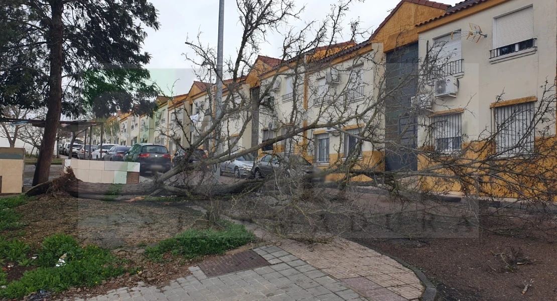 La Junta desactiva el nivel 1 del PLATERCAEX tras el paso del temporal en Extremadura