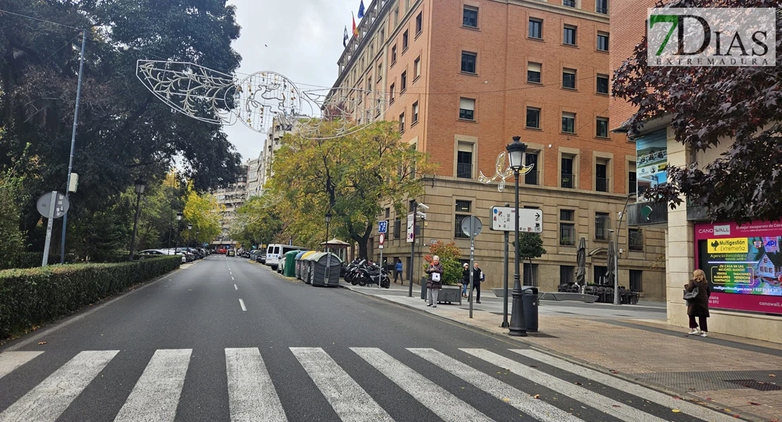 Roban un coche con un perro en su interior en Cáceres: piden ayuda para encontrar a Goyo