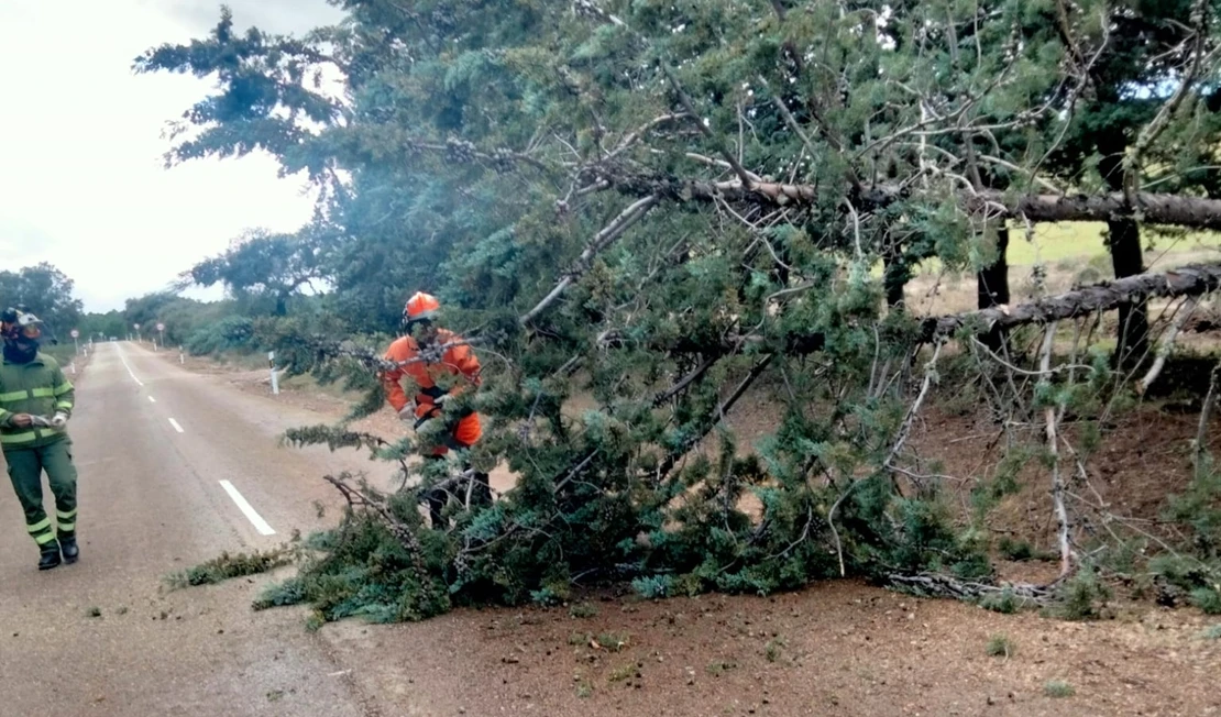 El INFOEX interviene en 13 localidades extremeñas tras el paso de la borrasca