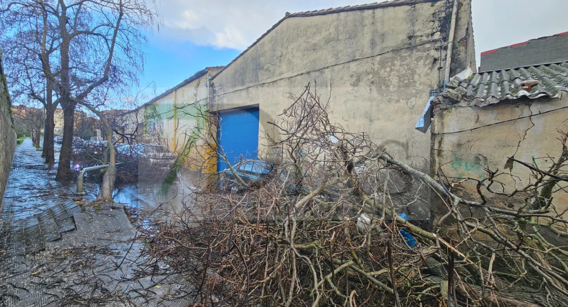 Árboles y techos caídos: un fuerte viento sacude Plasencia en cuestión de minutos