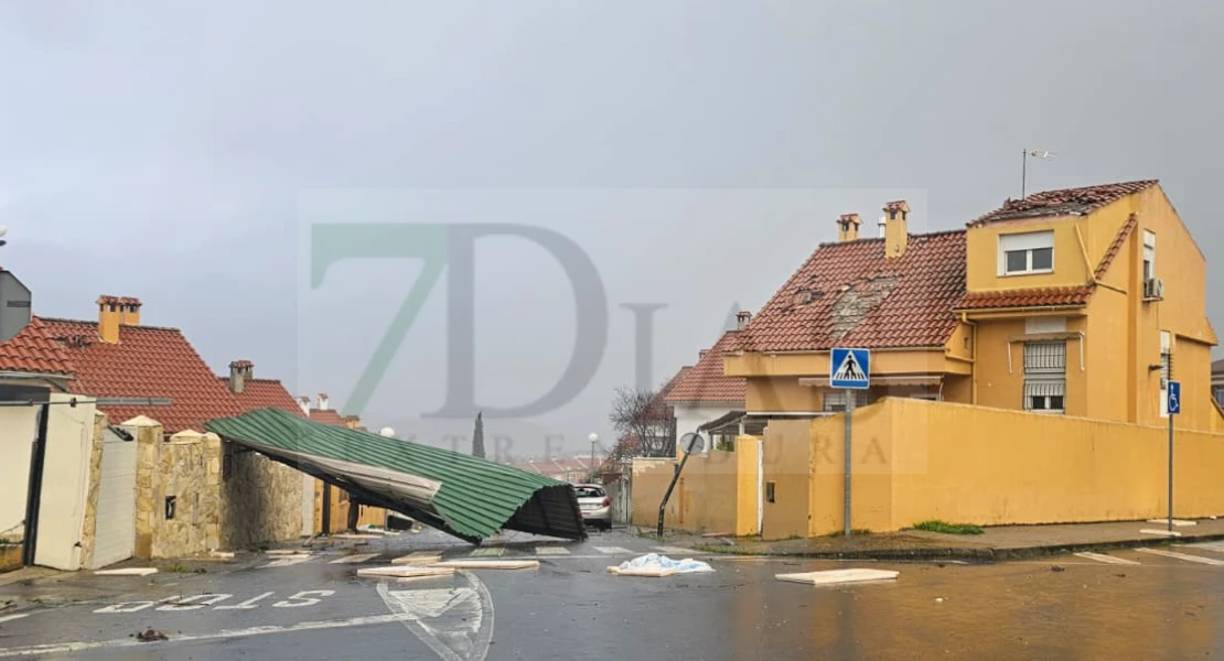 Árboles y techos caídos: un fuerte viento sacude Plasencia en cuestión de minutos