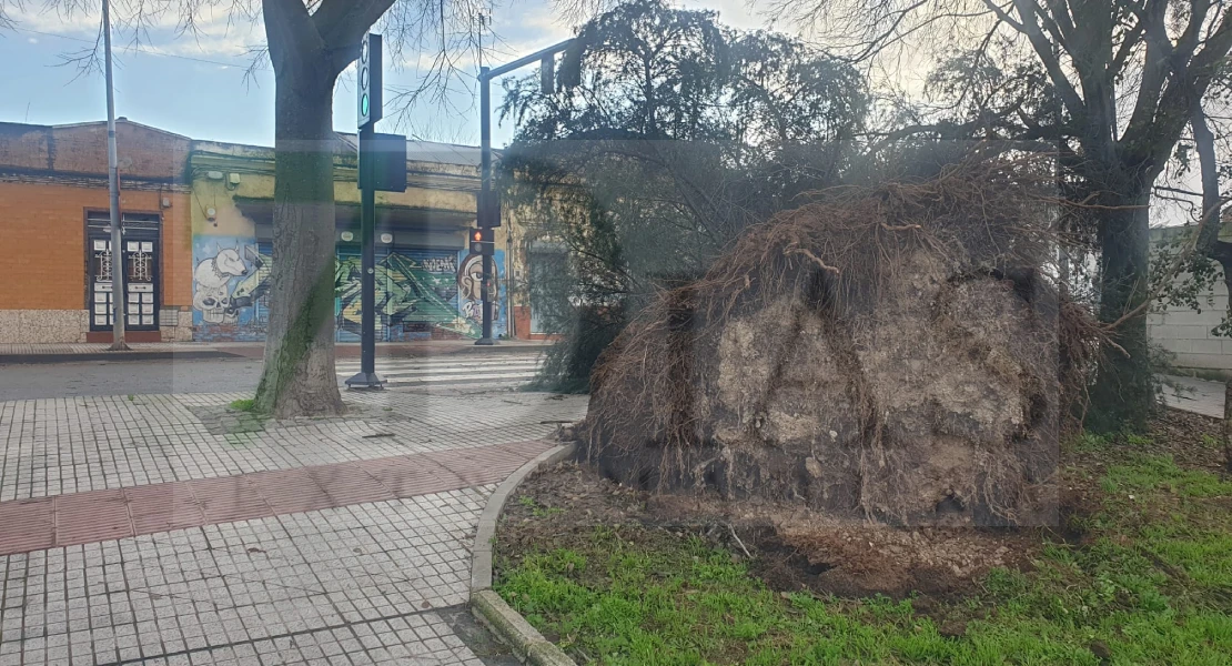 Madrugada caótica en la ciudad de Badajoz con numerosos incidentes