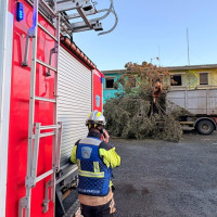 Un árbol cae sobre un camión mientras circulaba en la provincia de Cáceres