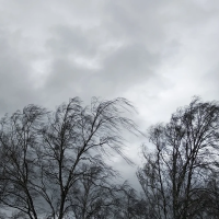 El viento y la lluvia ponen en alerta a casi toda Extremadura